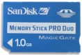 SanDisk 1GB Memory Stick Pro Duo (with MS Adapter).